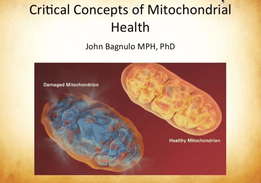 Critical Concepts in the Nutritional Support of Mitochondria