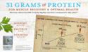 High Protein Requirement Chart